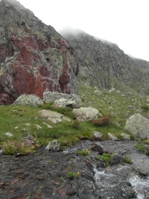 Image redimension&eacute;e SAM_0707.JPG 