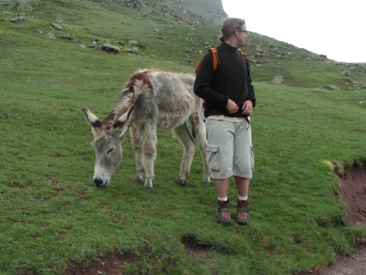 Image redimension&eacute;e SAM_0731.JPG 