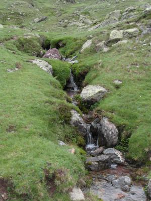 Image redimension&eacute;e SAM_0733.JPG 