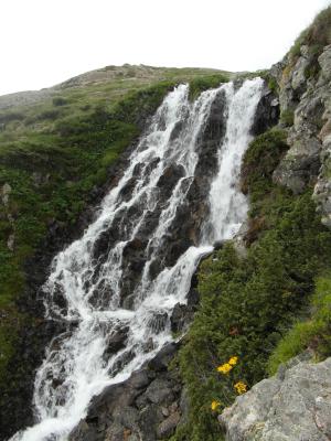 Image redimension&eacute;e SAM_0734.JPG 