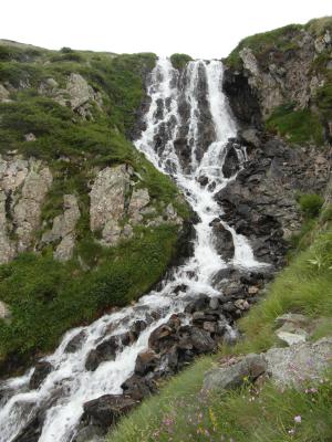 Image redimension&eacute;e SAM_0735.JPG 