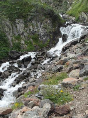 Image redimension&eacute;e SAM_0737.JPG 